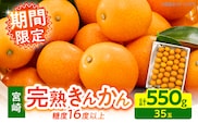 【1週間以内発送】ゴトウさんの 宮崎 完熟 きんかん 約550g(計35玉) 期間限定 フルーツ 果物 くだもの 金柑 柑橘 青果 キンカン 国産 食品 人気 おすすめ ギフト 贈り物 贈答 おすそ分け お礼 新鮮 産地直送 高糖度 甘い 選べる 宮崎県 日南市 送料無料_ZW2-25
