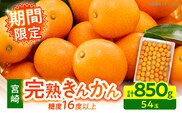 【1週間以内発送】ゴトウさんの 宮崎 完熟 きんかん 約850g(計54玉) 期間限定 フルーツ 果物 くだもの 金柑 柑橘 青果 キンカン 国産 食品 人気 おすすめ ギフト 贈り物 贈答 おすそ分け お礼 新鮮 産地直送 高糖度 甘い 選べる 宮崎県 日南市 送料無料_ZX12-25