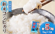 令和8年産 新米 コシヒカリ 計5kg お米 ご飯 ライス 国産 食品 精米 白米 こしひかり 有洗米 おにぎり お弁当 炊き込みご飯 雑炊 ギフト プレゼント 贈り物 お取り寄せ 産地直送 宮崎県 日南市 送料無料_BA106-26