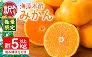 訳あり 数量限定 海藻木酢みかん 計 5kg 以上 傷み補償分入り フルーツ 果物 くだもの 柑橘 みかん 国産 期間限定 みかんジュース 食品 家庭用 自宅用 B品 わけあり オレンジ デザート おやつ おすすめ おすそ分け ご褒美 産地直送 宮崎県 日南市 送料無料_A94-25