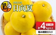 先行予約 訳あり 海藻木酢 日向夏 小夏 計4kg以上 傷み補償分入り フルーツ 果物 くだもの 柑橘 みかん 訳アリ 国産 食品 デザート おやつ おすそ分け おすすめ ご家庭用 ご自宅用 B品 傷 マーマレード 産地直送 宮崎県 日南市 送料無料_ZZV5-26