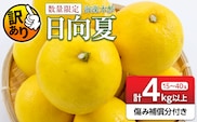 先行予約 訳あり 海藻木酢 日向夏 小夏 計4kg以上 傷み補償分付き 期間限定 数量限定 フルーツ 果物 くだもの 柑橘 みかん 訳アリ 国産 食品 デザート おやつ おすそ分け おすすめ ご家庭用 ご自宅用 B品 傷 マーマレード 産地直送 宮崎県 日南市 送料無料_ZZ19-23