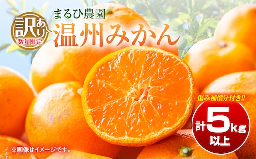 訳あり 温州 みかん 計5kg以上 傷み補償分入り まるひ農園 期間限定 数量限定 フルーツ 果物 くだもの 柑橘 ミカン 国産 食品 デザート おやつ 人気 スイーツ おすすめ ご家庭用 訳アリ ワケあり おすそ分け 新鮮 産地直送 宮崎県 日南市 送料無料_A102-26