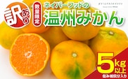 訳あり 温州みかん 計5kg以上 傷み補償分入り 期間限定 数量限定 フルーツ 果物 くだもの ミカン 柑橘 オレンジ 人気 国産 食品 デザート おやつ おすすめ 産地直送 ご家庭用 おすそ分け 特産品 ネイバーフッド 宮崎県 日南市 送料無料_ZZV4-26
