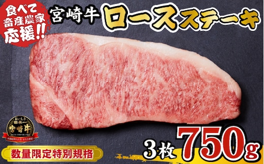 【内閣総理大臣賞 4大会連続受賞】A4等級以上 宮崎牛 ロースステーキ 750g（牛肉 黒毛和牛 畜産農家応援 ロース ステーキ 赤身 数量限定）