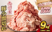 【大容量!!】九州産豚小間切れ 9kg 300g×30P（国産 豚 豚肉 小間切れ 豚小間 豚こま 切り落とし 真空 小分け 冷凍 宮崎県 小林市 ）