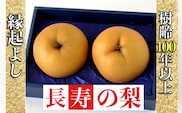  【産直もぎたて】樹齢100年以上・縁起のよい長寿の梨 1.2kg（国産 フルーツ ナシ 新高 果物 くだもの 贈答用 プレゼント）