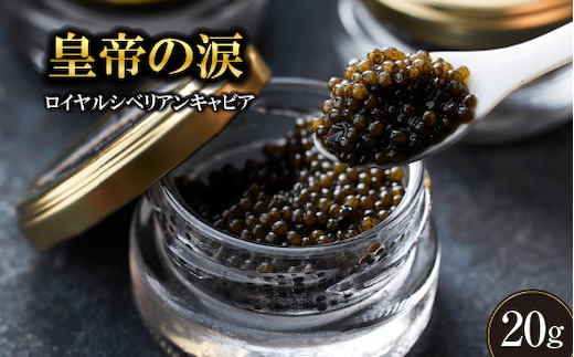 【純国産キャビア】ロイヤルシベリアンキャビア 20g 皇帝の涙 国産 チョウザメ 魚卵 宮崎県