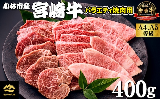 【西ノ原牧場直送】大人気！A4等級以上宮崎牛バラエティ焼肉用 400g（国産 国産牛 肉 牛肉 宮崎牛 黒毛和牛 お肉 ロース 焼肉 内閣総理大臣賞4大会連続受賞 特別提供）
