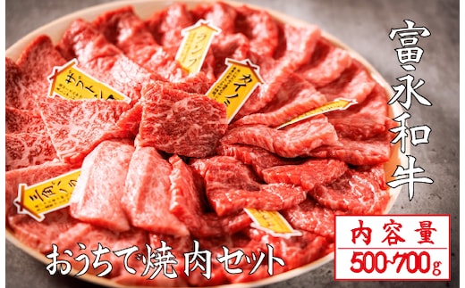 【自社農場和牛】富永和牛おうちで焼肉セット（国産 牛肉 和牛 赤身 霜降り 焼肉 BBQ 限定）