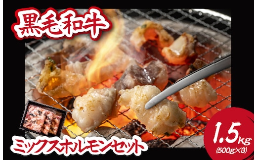 【自社農場和牛】黒毛和牛ミックスホルモン 1.5㎏（国産 黒毛和牛 牛肉 ホルモン 焼肉 BBQ 冷凍 モツ もつ鍋）