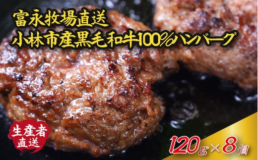 【牛肉100%】富永和牛手作りハンバーグ（ハンバーグ 牛肉 牛肉100% 国産 冷凍 調理済 宮崎 惣菜 小林市）