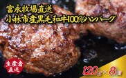 【牛肉100%】富永和牛手作りハンバーグ（ハンバーグ 牛肉 牛肉100% 国産 冷凍 調理済 宮崎 惣菜 小林市）
