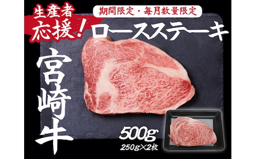【生産者応援！】宮崎牛ロースステーキ500g（250g×2枚 宮崎牛 和牛 国産 牛肉 霜降り ステーキ ロース 冷凍 送料無料）