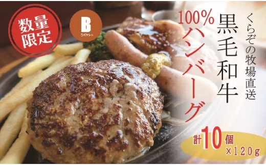 【宮崎県産黒毛和牛100％】黒毛和牛専門店の贅沢ハンバーグ（計10個）（ふるさと納税 訳あり 国産 牛肉 黒毛和牛 ハンバーグ 冷凍 特別提供 送料無料）