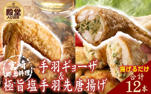 【手羽先サミット殿堂入り！】極旨塩 手羽先 唐揚げ 手羽ギョーザ セット 計12本（国産 鶏肉 手羽先 ギョウザ 餃子 塩 味付き 人気）
