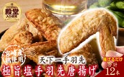 【手羽先サミット殿堂入り！】極旨塩 手羽先 唐揚げ 12本（国産 鶏肉 手羽 手羽先 唐揚げ 塩 味付き 限定 冷凍）