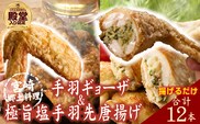 【手羽先サミット殿堂入り！】極旨塩 手羽先 唐揚げ 手羽ギョーザ セット 計12本（国産 鶏肉 手羽先 ギョウザ 餃子 塩 味付き 人気）