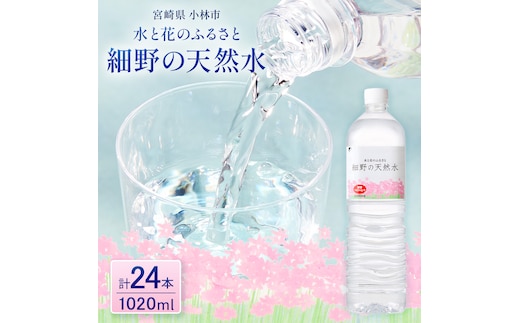 細野の天然水1,020ml×12本×2箱(水 天然水 ミネラルウオーター シリカ）