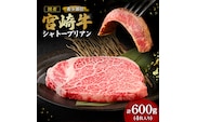 【A4等級以上】宮崎牛シャトーブリアン4枚 計600g（内閣総理大臣賞 A4 A5 宮崎牛 牛肉 黒毛和牛 赤身 希少部位 焼肉 ステーキ）