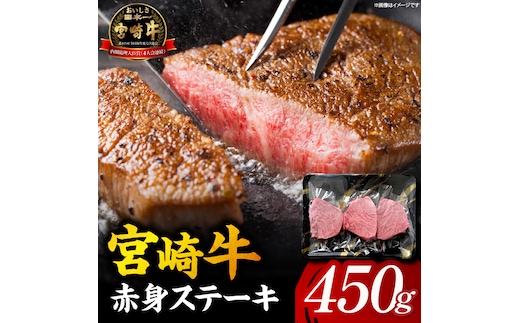 【A5等級宮崎牛】赤身ステーキ（小林市産 牛肉 和牛 特選 贅沢 厳選和牛 ブランド牛 ギフト 贈答）