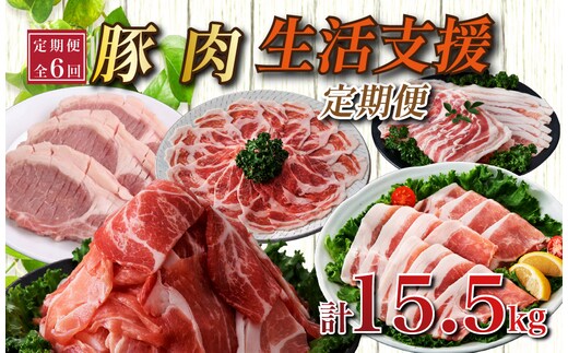 【定期便全6回】生活支援定期便15.5kg(豚切り落とし 豚バラスライス 豚肩ロース しゃぶしゃぶ 肩ロース生姜焼き 豚ロースとんかつ 豚モモウデ切り落とし 国産 九州産）)
