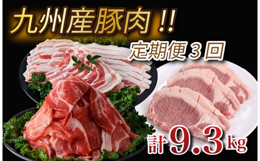 【定期便・全3回】九州産豚肉3種セット定期便(大容量 九州産豚肉 国産豚肉 炒め物 しゃぶしゃぶ とんかつ 焼肉 生姜焼き 肉じゃが カレー 豚汁)