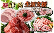 【定期便全6回】生活支援定期便15.5kg(豚切り落とし 豚バラスライス 豚肩ロース しゃぶしゃぶ 肩ロース生姜焼き 豚ロースとんかつ 豚モモウデ切り落とし 国産 九州産）)