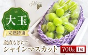 【令和8年発送・先行予約】大玉 シャインマスカット 700g（ぶどう ブドウ シャインマスカット シャイン マスカット フルーツ 果物 くだもの 旬 先行受付 2026 産地直送 限定）