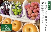 【先行予約 令和8年発送】シャインマスカット等と旬の梨セット計2kg（フルーツ 果物 くだもの シャインマスカット ブドウ 先行受付 2026 贈答用 プレゼント 限定）