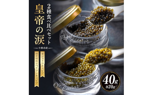 【年内発送】【純国産キャビア】皇帝の涙 2種食べ比べセット 40g 国産 キャビア チョウザメ 宮崎 小林市 食べ比べ