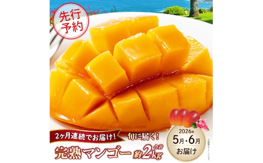 【先行予約！マンゴー定期便・全2回】小林市産「完熟マンゴー」コース(5月,6月）定期便 フルーツ フルーツ定期便 2026 マンゴー アップルマンゴー 先行予約 宮崎 果物 人気
