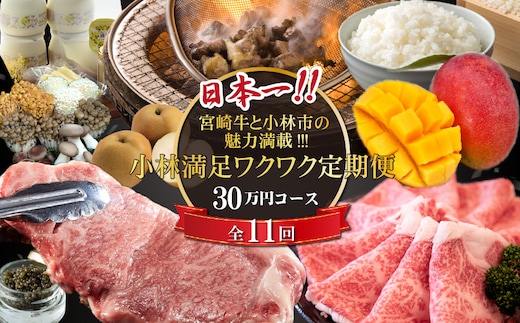 【定期便・全11回】日本一宮崎牛と小林市の魅力満載!!! 小林満足ワクワク定期便 30万円コース（国産 牛肉 国産牛 黒毛和牛 マンゴー お菓子 豚肉 鶏肉 キャビア 定期便）