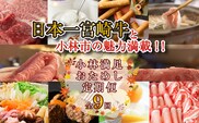 【定期便・全9回】日本一宮崎牛と小林市の魅力満載!!! 小林満足おためし定期便 10万円コース（国産 牛肉 国産牛 和牛 黒毛和牛 すき焼き フルーツ お菓子  豚肉 鶏肉 スイーツ 定期便）