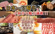【定期便・全11回】日本一宮崎牛と小林市の魅力満載！！小林満足おためし定期便　20万円コース（国産 牛肉 国産牛 和牛 黒毛和牛 フルーツ お菓子  豚肉 鶏肉  キャビア 定期便）