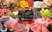 【定期便・全12回】日本一宮崎牛と小林市の魅力満載!!!!小林満足スペシャル定期便 50万円コース（国産 牛肉 国産牛 和牛 黒毛和牛 キャビア シャインマスカット マンゴー 完熟マンゴー フルーツ 果実 くだもの 豚肉 鶏肉 定期便）