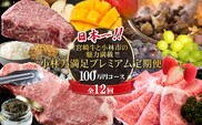 【定期便・全12回】日本一宮崎牛と小林市の魅力満載!!!!!小林大満足プレミアム定期便 100万円コース（国産 牛肉 国産牛 和牛 黒毛和牛 シャインマスカット マンゴー 完熟マンゴー フルーツ 果実 くだもの キャビア 豚肉 鶏肉 定期便）