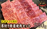 【黒毛和牛レストラン直送】A4等級以上 宮崎牛メス指定厚切り特選焼肉セット 500g（牛肉 黒毛和牛 和牛 A4 A5 赤身 霜降り 焼肉用 モモ BBQ 冷凍）