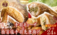 【手羽先サミット殿堂入り！】極旨塩 手羽先 唐揚げ 手羽ギョーザ セット 計24本（国産 鶏肉 手羽先 ギョウザ 餃子 塩 味付き 人気）