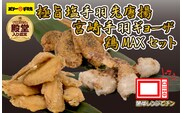 【レンジでチンするだけ♪】極旨塩手羽先唐揚げ 手羽ギョーザ 鶏MAX！セット（鶏肉手羽先 唐揚げ 餃子 もも肉 せせり 鶏皮 調理済み）