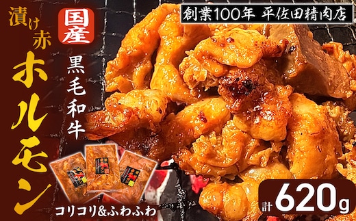 【年内発送】【数量限定】漬け赤ホルモン620g コリコリミックス（210g×2P）ふわふわ牛腸（200g×1P） 焼肉 BBQ 人気 ホルモン 味付きホルモン 味付き肉 焼肉用ホルモン