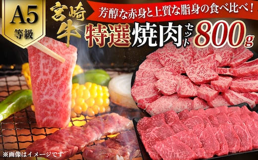 【A5等級】宮崎牛 特選焼肉セット 計800g（赤身・霜降り） 宮崎牛 ブランド牛 和牛 牛肉 焼肉 特選和牛 霜降り A5 宮崎県 小林市