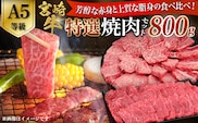 【A5等級】宮崎牛 特選焼肉セット 計800g（赤身・霜降り） 宮崎牛 ブランド牛 和牛 牛肉 焼肉 特選和牛 霜降り A5 宮崎県 小林市