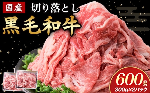 【小分けで便利】国産黒毛和牛切り落とし 600g （ 国産 牛 牛肉 黒毛和牛 切り落とし 真空 小分け 冷凍 宮崎県 小林市 ）