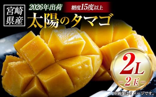 【令和8年発送 先行予約】完熟マンゴー「太陽のタマゴ」 2L×2玉（フルーツ マンゴー 完熟マンゴー アップルマンゴー 果物 くだもの 先行受付）