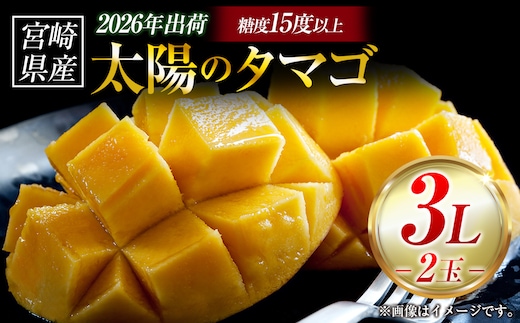 【令和8年発送 先行予約】完熟マンゴー「太陽のタマゴ」 3L×2玉（フルーツ マンゴー 完熟マンゴー アップルマンゴー 果物 くだもの 先行受付）