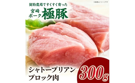 【産地直送】契約農場ですくすく育った宮崎ポーク極豚シャトーブリアンブロック肉 300g