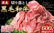 【小分けで便利】国産黒毛和牛切り落とし 600g （ 国産 牛 牛肉 黒毛和牛 切り落とし 真空 小分け 冷凍 宮崎県 小林市 ）