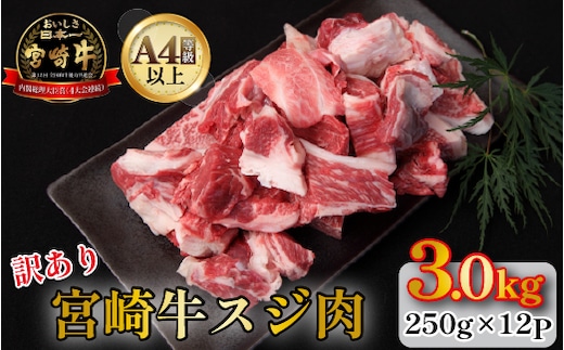 【訳あり・A4等級以上】宮崎牛濃厚スジ肉 3.0kg程度 黒毛和牛 牛肉 和牛 赤身 スジ 牛すじ 牛スジ カレー 煮物 