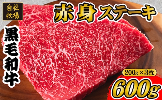 【自社牧場和牛】小林市産 黒毛和牛 赤身ステーキ 200g×3枚（牛肉 国産牛 黒毛和牛 和牛 赤身 ステーキ）
